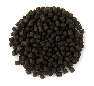 Karpfen Pellets