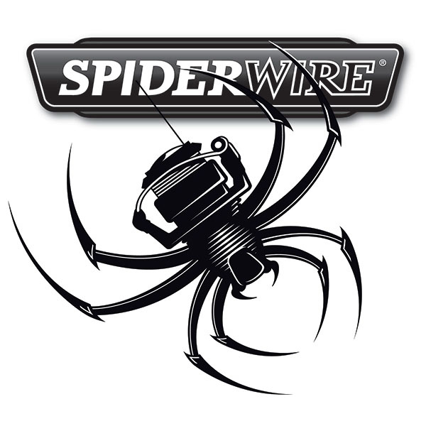 Spiderwire