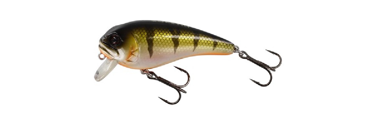 Westin Fatbite 8 Cm 24gr Floating Bling Perch Westin Fatbite 8 Cm 24gr Floating Bling Perch
