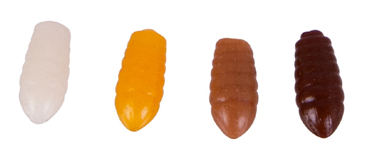 MS Range Casters Light brown