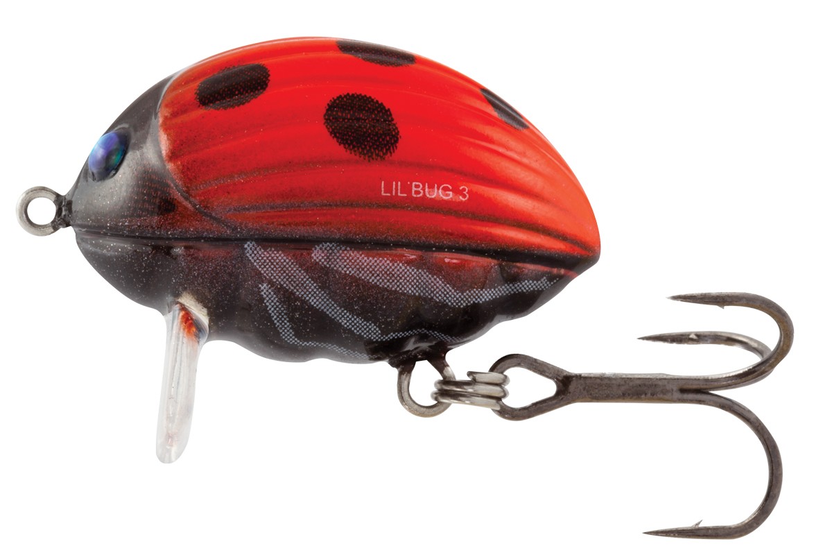 Salmo Lil' Bug Floating 3cm Ladybird
