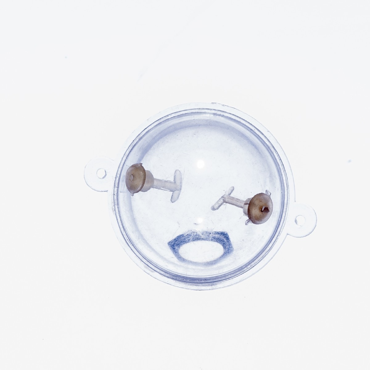 Fish Float Water 35 mm Fish Float Water 35 mm