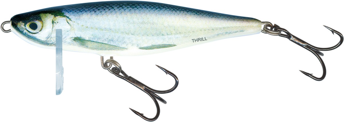 Salmo Thrill Sinking 5cm Real Bleak Salmo Thrill Sinking 5cm Real Bleak