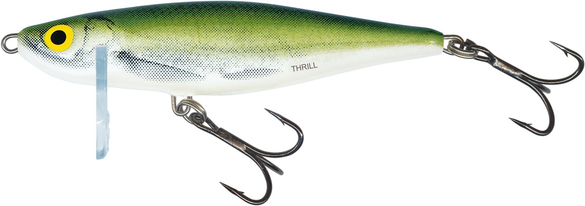 Salmo Thrill Sinking 7cm Olive Bleak Salmo Thrill Sinking 7cm Olive Bleak