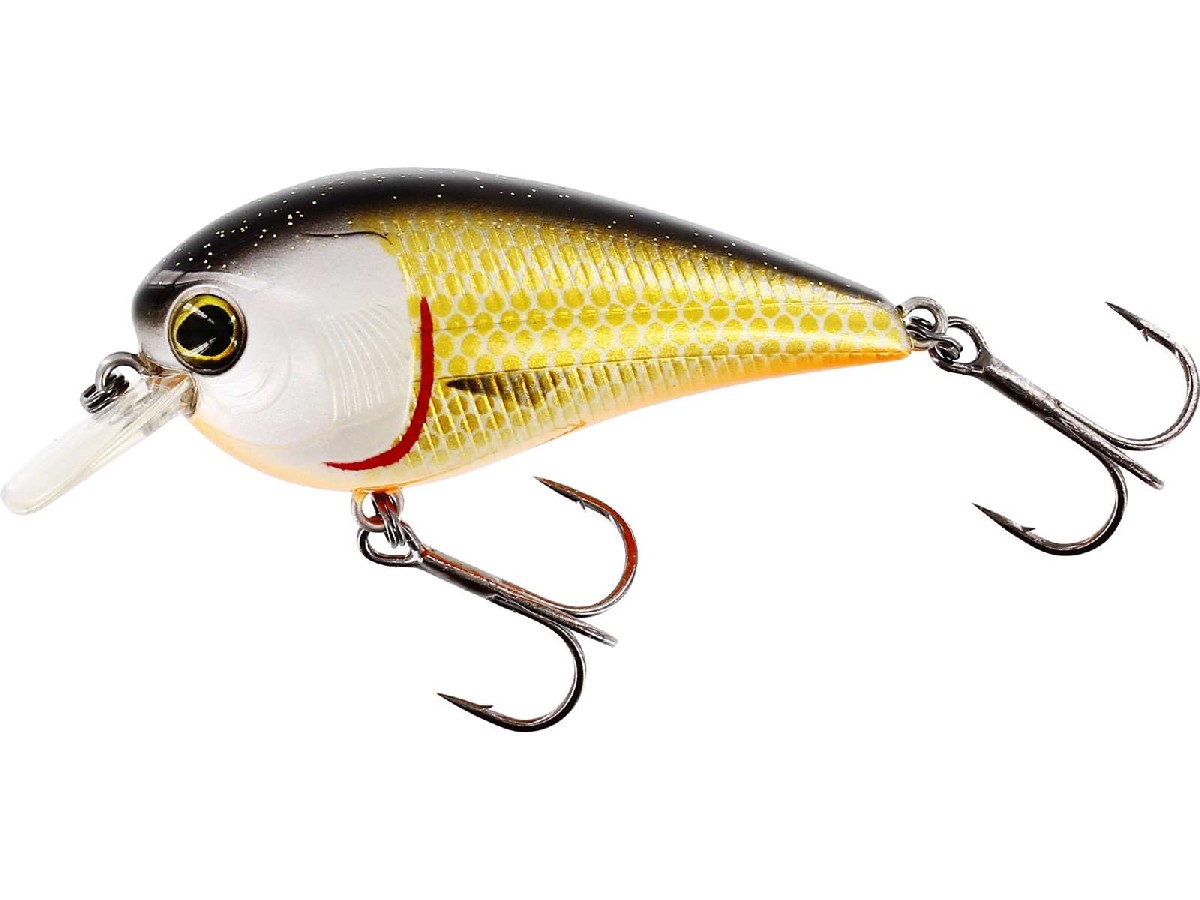 Westin Squarebill BassBite 6cm 13Gr Floating Official Roach