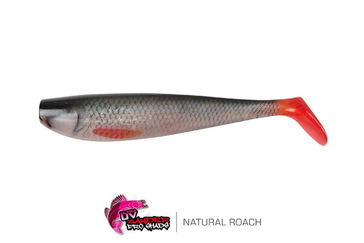Fox Rage Zander Pro Shad 12cm Ultra Natural Roach