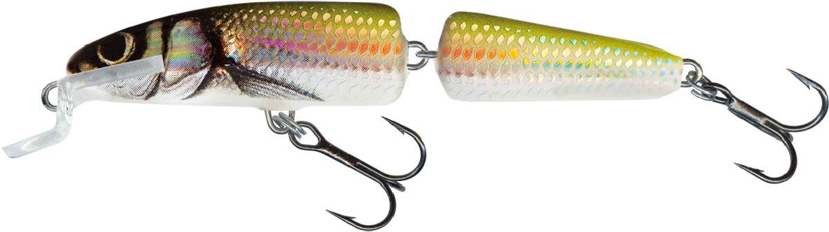 Salmo Fanatic 7cm Holo Bleak Salmo Fanatic 7cm Holo Bleak