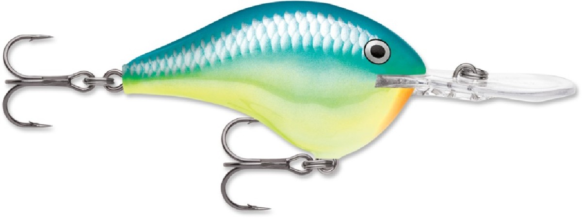 Rapala DT (Dives-To) 06 Caribbean Shad - CRSD Rapala DT (Dives-To) 06 Caribbean Shad - CRSD