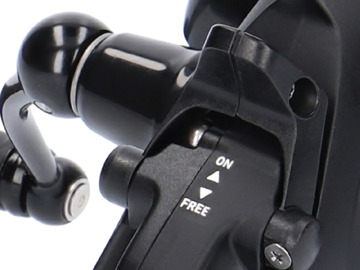 Daiwa Black Widow BR LT 19 2500