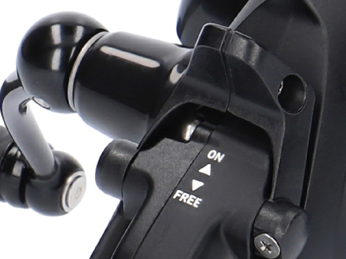 Daiwa Black Widow BR LT 19 4000-C