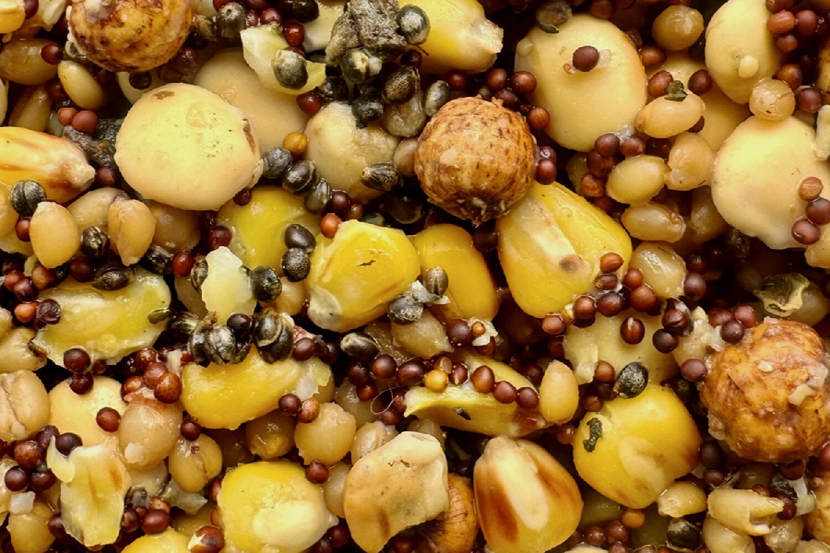 Mivardi Premium Particle Mix 2.5kg