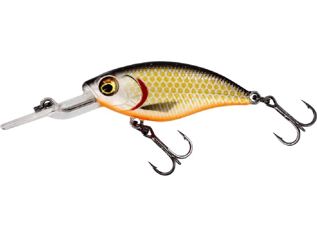 Westin BuzzBite Crankbait 4cm 4Gr Low Floating Official Roach Westin BuzzBite Crankbait 4cm 4Gr Low Floating Official Roach