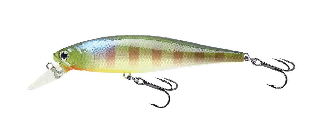 Lucky Craft Pointer 100 Be Gill