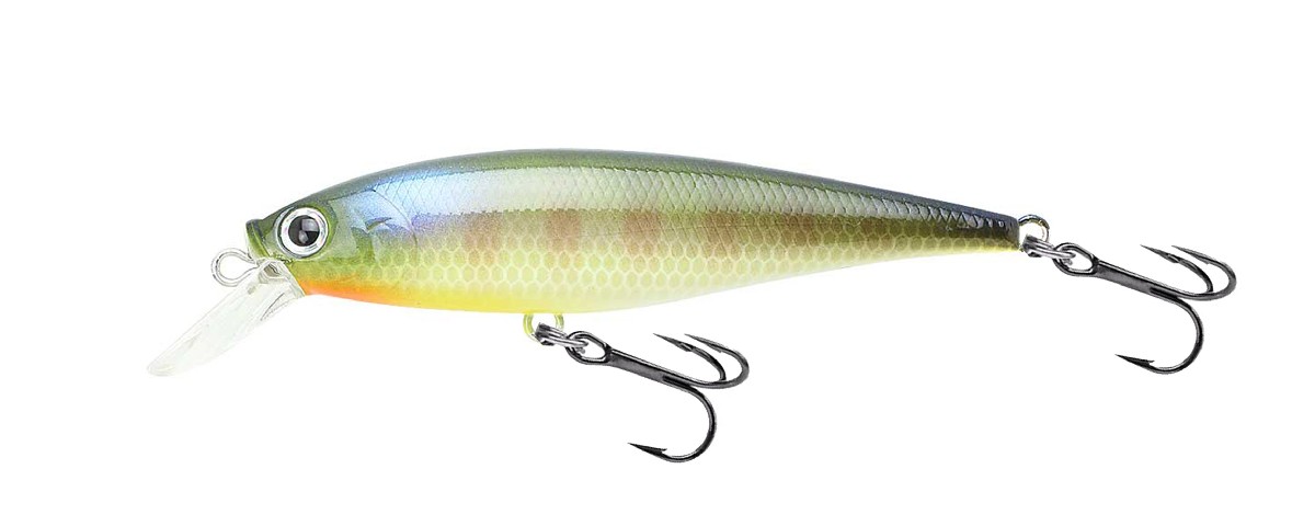 Lucky Craft Pointer 78 Be Gill