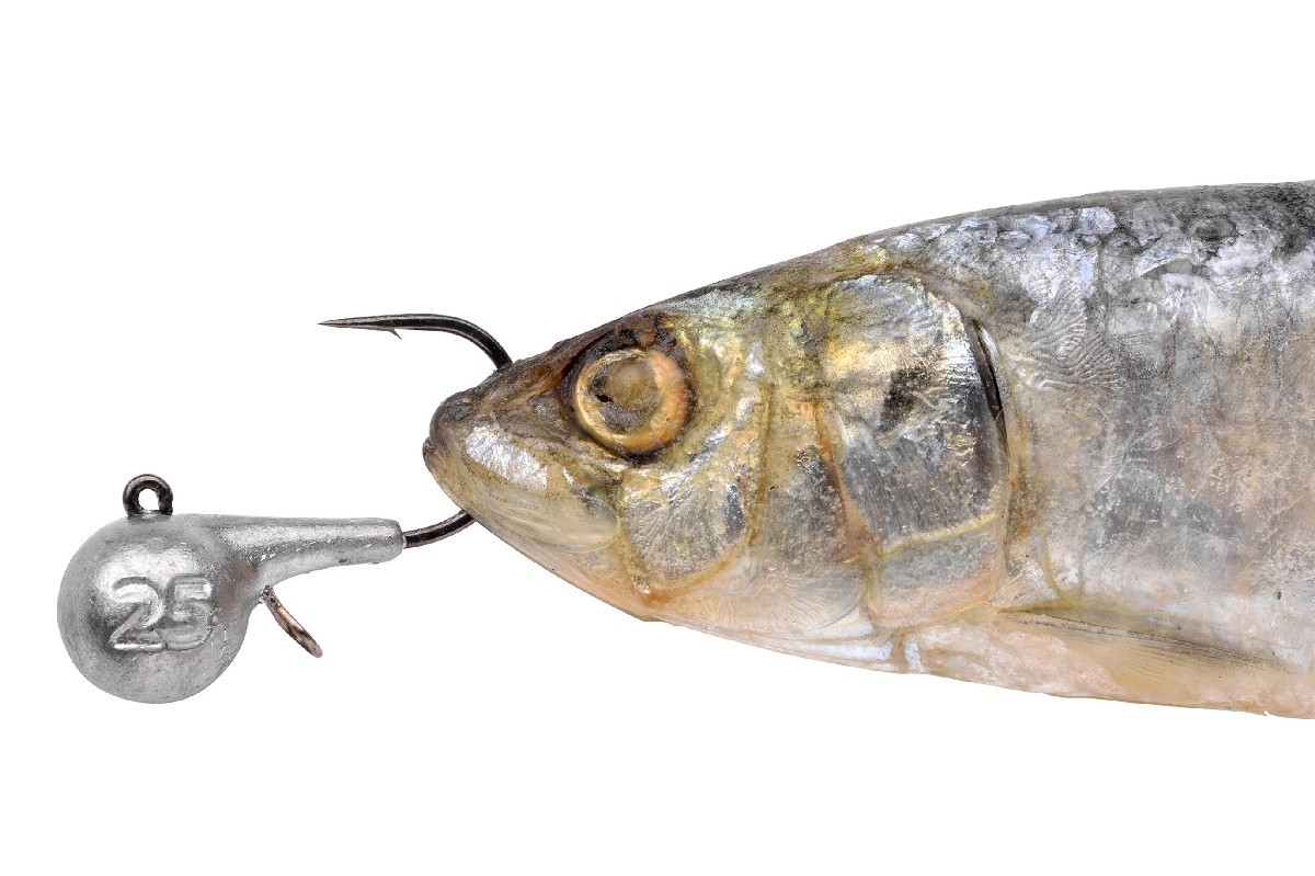 Spro HD Fireball Jig 6/0 2st. 30 gr Spro HD Fireball Jig 6/0 2st. 30 gr