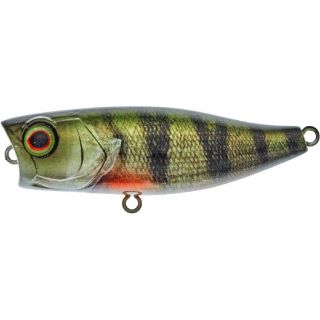Illex Chubby Popper 42 Perch RT