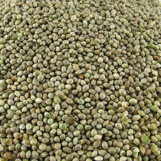 Hanf 15kg