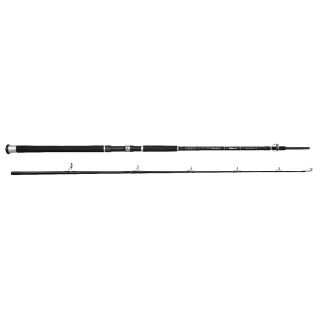 Spro Salty Beast Jig Bait Fast 210cm 600gr