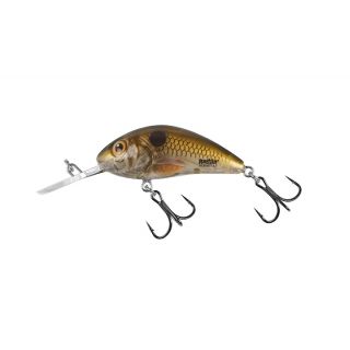 Salmo Rattlin Hornet Floating 5.5Cm Pearl Shad