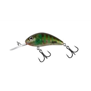 Salmo Rattlin Hornet Floating 5.5Cm Green Gill