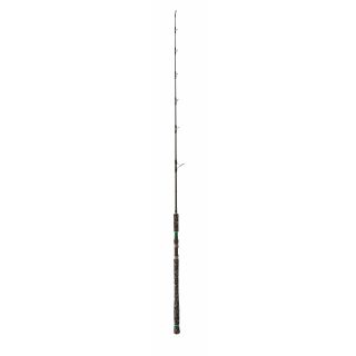 zeck V-Stick 172cm 200gr