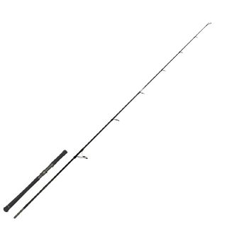 Zeck Evo Cat Spin 2.43 m 120 gr