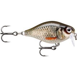 Rapala X-Light Crank Shallow Runner 03 Live Roach - ROL