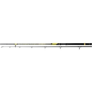 Black Cat Perfect Passion Spin 2,70 m  60-200 gr