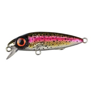 Spro Iris The Kid Hardlure Firetiger 5,8cm 8gr Rainbow Trout
