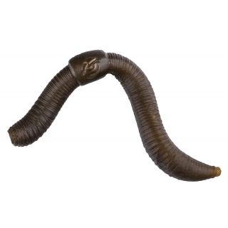 PolePosition Pop-Up Worms 10st.