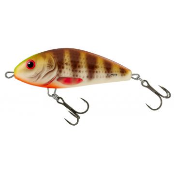 Salmo Fatso F12F Floating Spotted Brown Perch