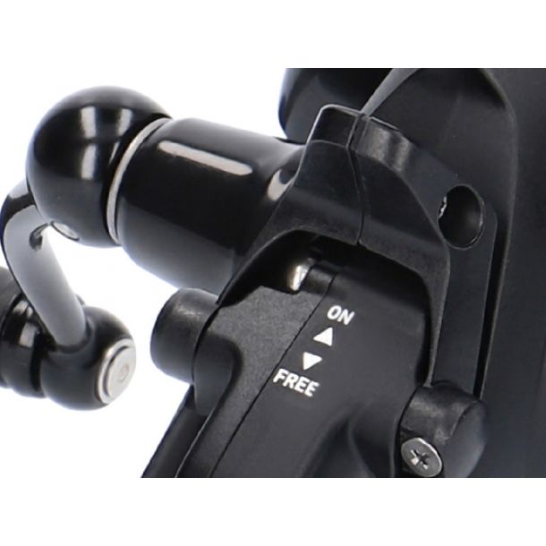 Daiwa Black Widow BR LT 19 5000-C main product photo