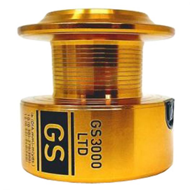 Daiwa GS 20 BR LT 3000 main product photo