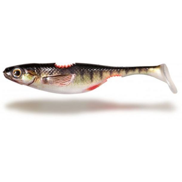 Quantum BisswundeR 16cm 2St. Barschi main product photo