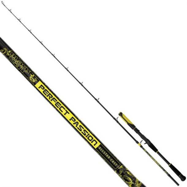 Black Cat Perfect Passion Allstar Cast 2,20 m 30-130 gr main product photo